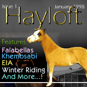 Hayloft Issue 1
