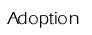 Adoption
