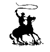 Western Riding