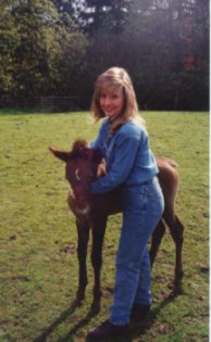 Foal Photograph