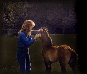 Horse and rider in the forest...