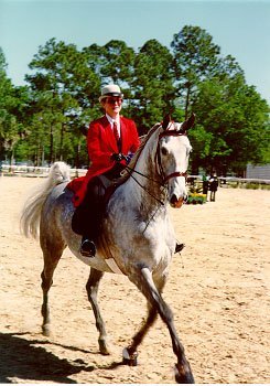 A matching cavasson set is worn by the horse.