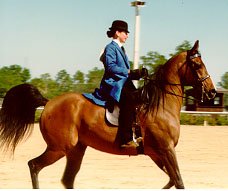 The rider's blue pleasure suit looks striking with the bay Arabian.