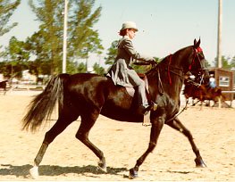 Observe the position of this saddle seat mount.