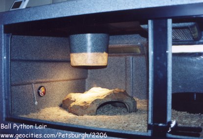 Cage Setup