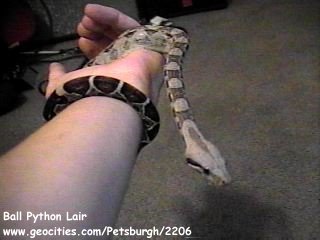 Phaedra On My Arm