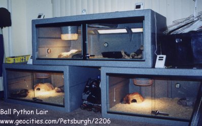 Snake room