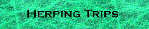 Herping Trips