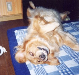 karu heso