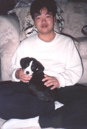 Pochi puppy2