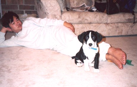 Pochi puppy3
