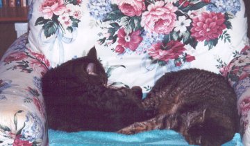 Charlie & Caesar