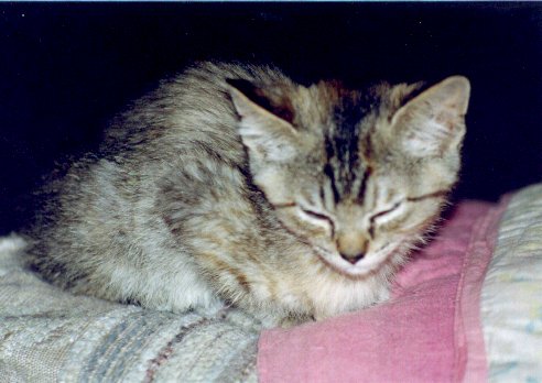 Napping