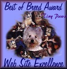 awards