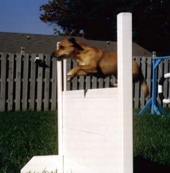 High Jump