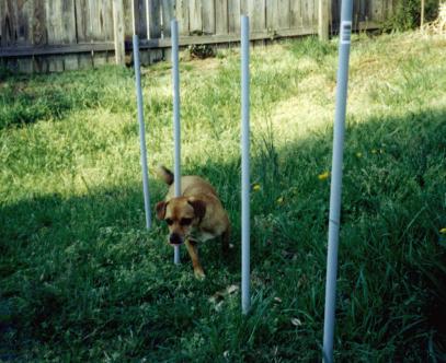 Learning Poles