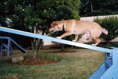See Saw