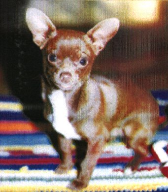 Hershey