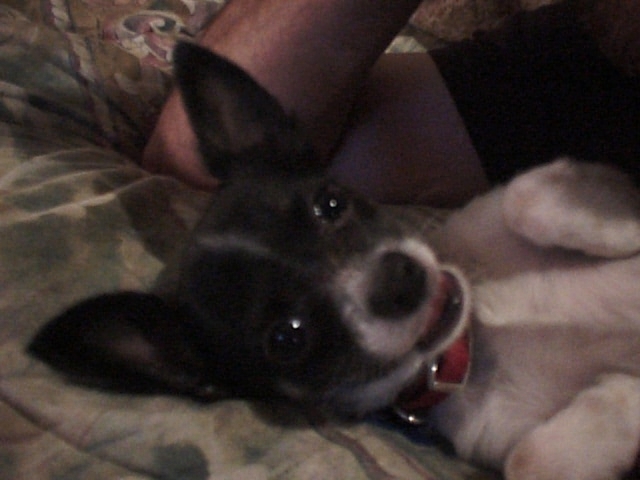 Micky