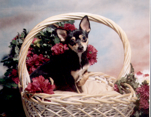 Maggie