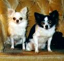 Jose and Mimi