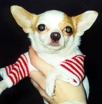 Peanut
