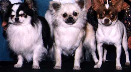 3 Amigos
