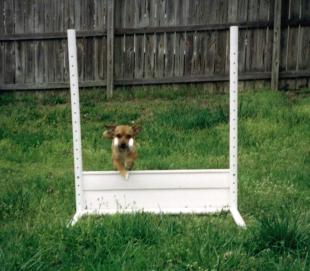 Retrieve over the high jump