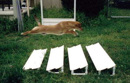 Broad jump