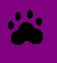 Paw