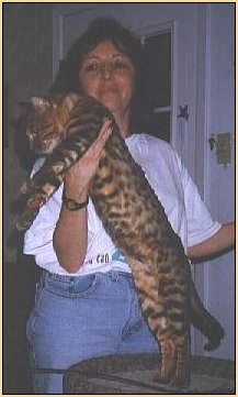 rdad.jpg - 19309 Bytes