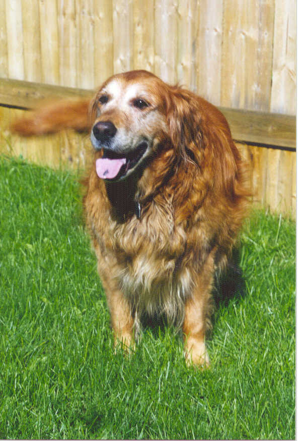 Max Opheim