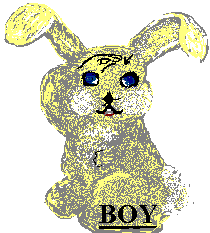 boy