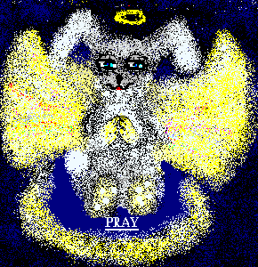 Pray