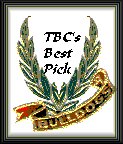 Bully4U Award