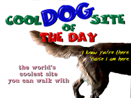 Cool Dog Site of the Day on May 7, 1999