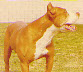 Caesar