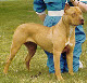 Rosie