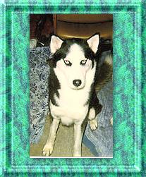 Kona
