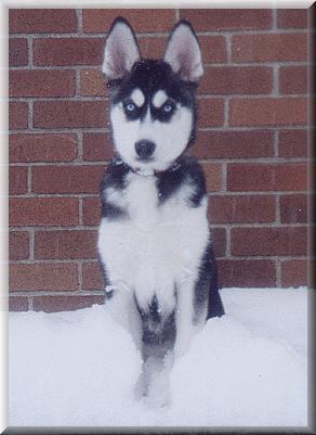 Snow