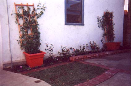 Plantings