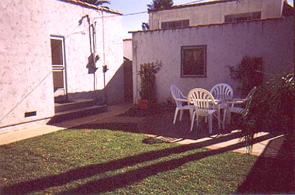 Back view