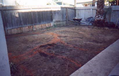 Click here for yard renovation photos