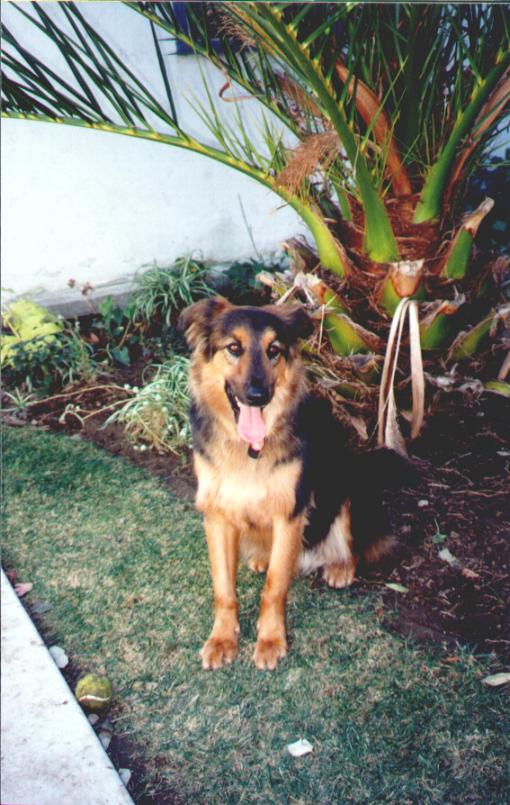 Jake