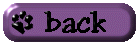 Back to photo gallery