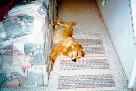 Sleeping sideways