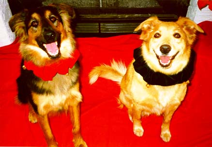 Christmas card 1997