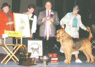 otter greg biss.jpg (14884 bytes)