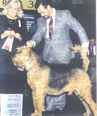 otter macduff.jpg (19870 bytes)