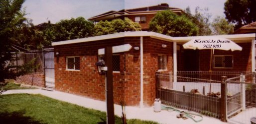 kennel.jpg